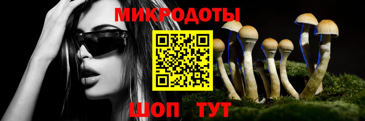 Псилоцибиновые грибы MAGIC MUSHROOMS Всеволожск